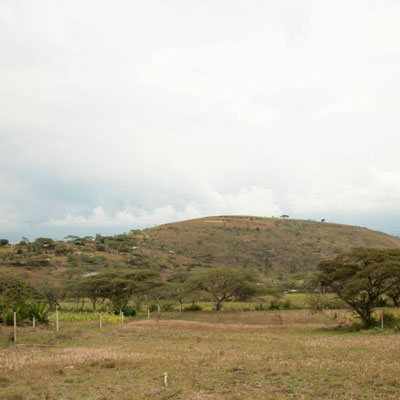 medio ambiente tinallo