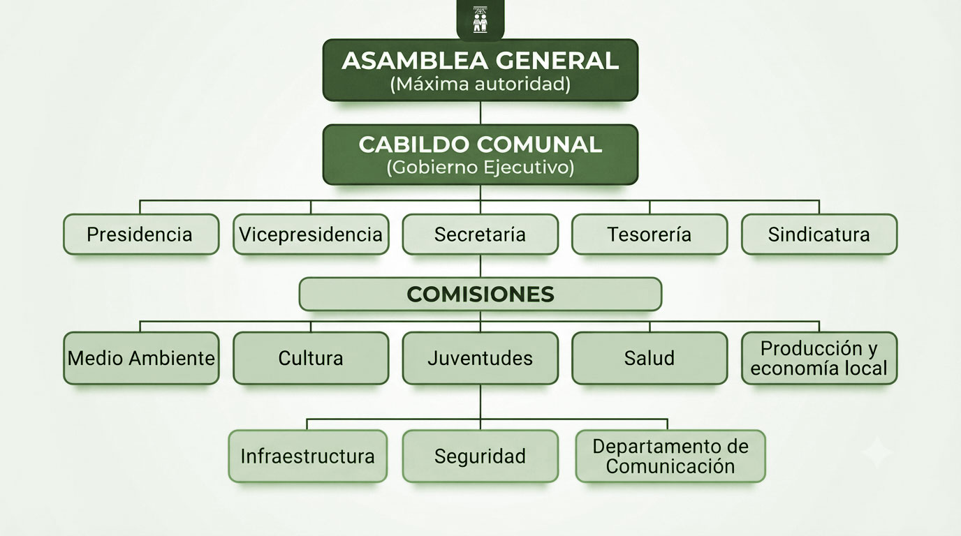 organigrama comuna